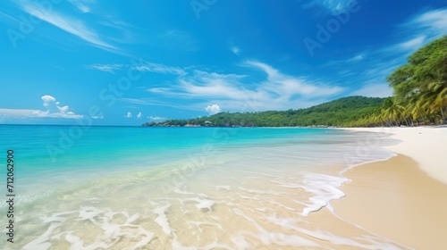 Nature's tropical beauty unfolds on the sandy beach, where the azure sea meets the blue sky in perfect harmony.