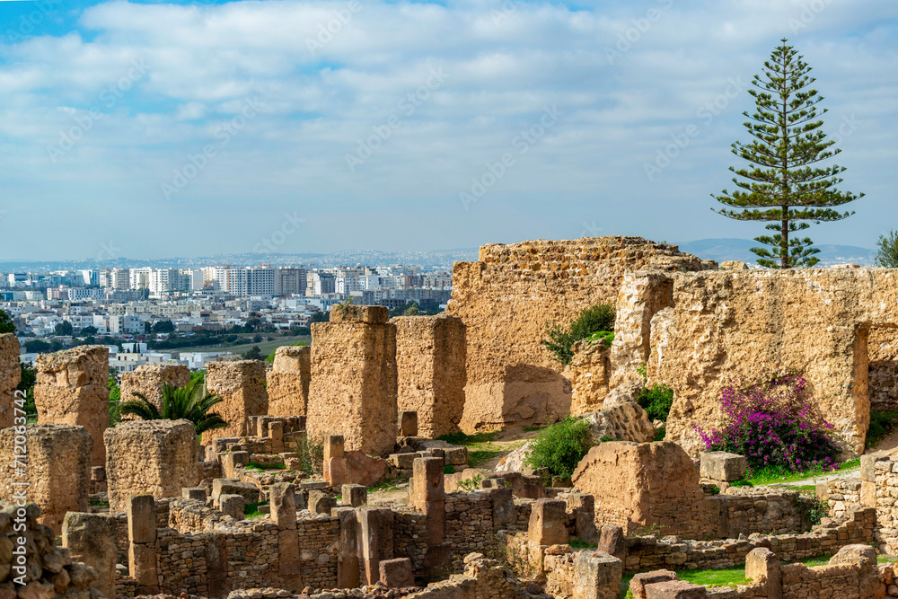 Vue sur Tunis depuis le site archéologique de Carthage Vue sur Tunis depuis le site archéologique de Carthage