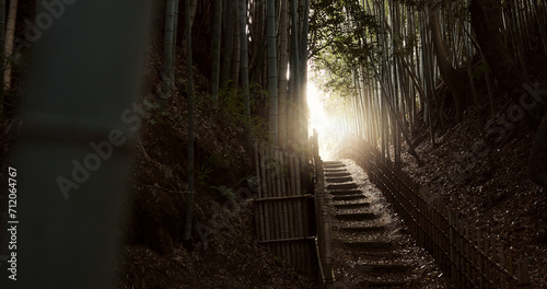 Canvas Print Nature, staircase and bamboo trees in Japan of hiking trail, light or steps on outdoor path