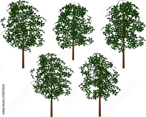 Vector sketch illustration of tree plant design with flowers