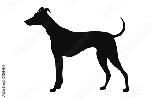 A Greyhound Dog black Silhouette vector isolated on a white background