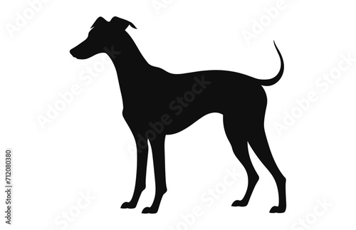 A Greyhound Dog black Silhouette vector isolated on a white background