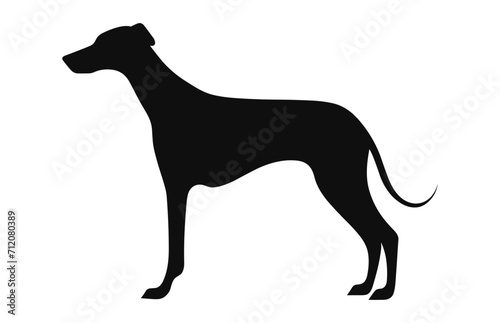 Greyhound Dog vector black Silhouette isolated on a white background