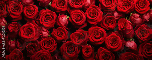 Natural red roses background, flowers wall. valentines day