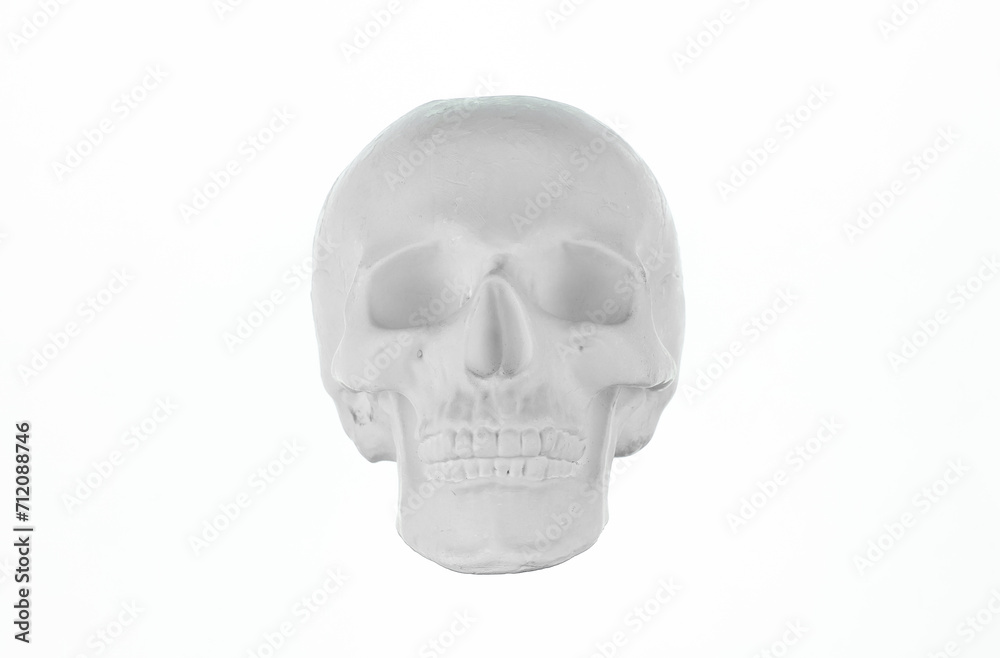 plaster human skull isolated on white background plaster human skull isolated on white background