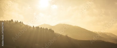 Sonnenstrahlen am Morgen,
Sunbeams at morning