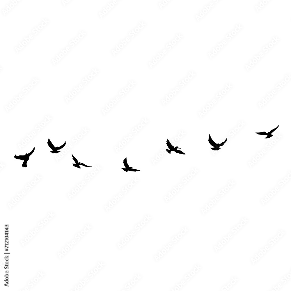 Flying Bird Silhouette