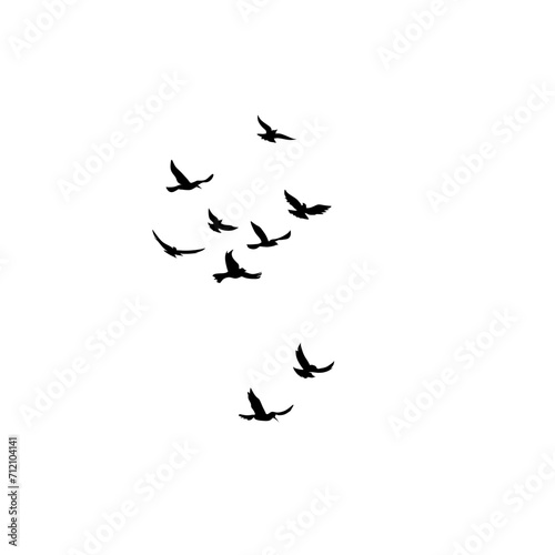 Flying Bird Silhouette © Slonong
