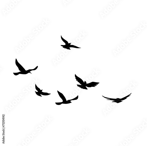 Flying Bird Silhouette