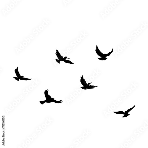 Flying Bird Silhouette