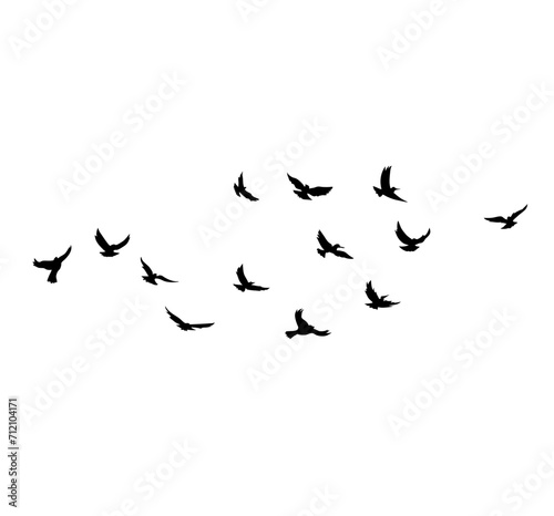 Flying Bird Silhouette © Slonong