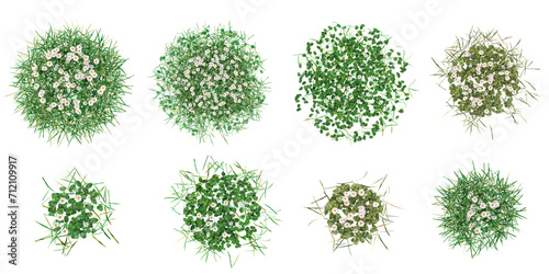 Collection of Grass isolated on white background, vector illustration from top view