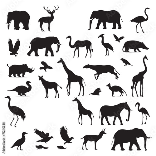 Untamed Elegance  Captivating Wild Animals Silhouette Set in Detailed Illustrations - Wildlife Silhouette - Animals Vector 