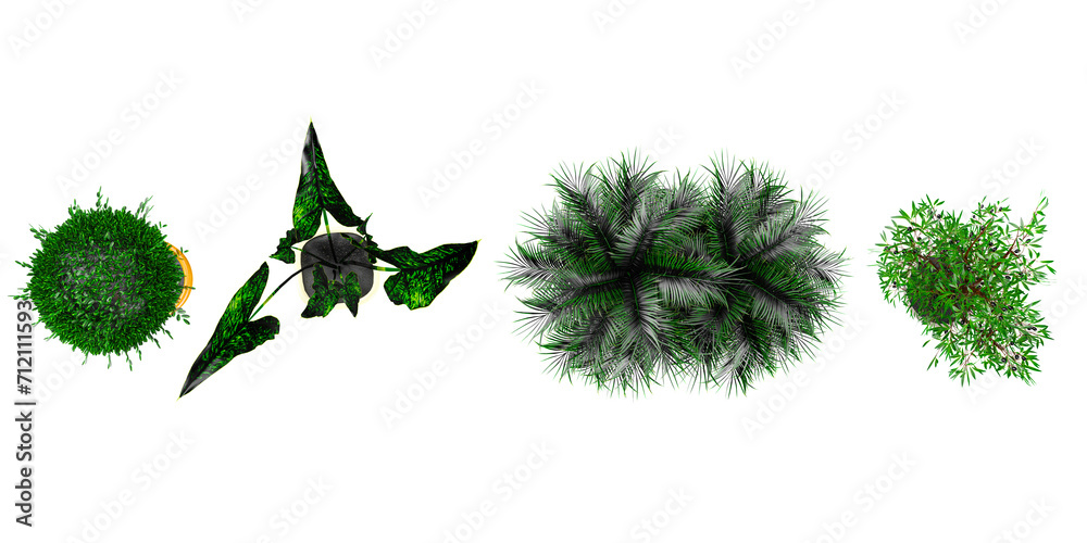 Fototapeta premium Set of Date palm,Alocasia,Myrtle,Olive plants in pots isolated on white background Pro Vector from top view