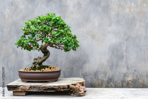 A bonsai tree in a traditional pot on a wooden stand.