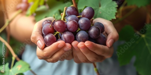 grapes in hand