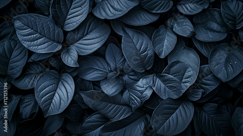 Textures of abstract black leaves for tropical leaf background. Flat lay, dark nature concept, tropical leaf,generative ai