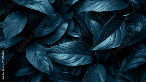 Textures of abstract black leaves for tropical leaf background. Flat lay  dark nature concept  tropical leaf generative ai