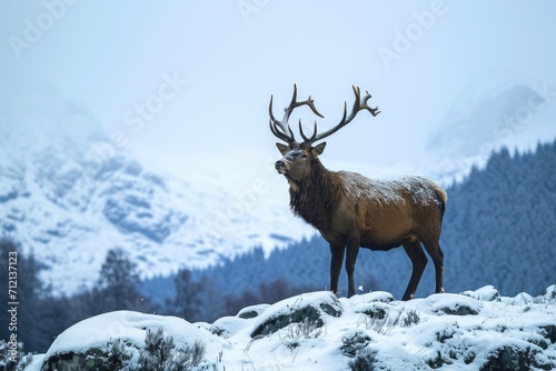 Noble stag with majestic antlers silhouetted against a snowy mountain backdrop