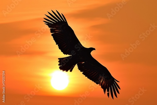 Silhouette of a majestic eagle soaring high in the sky at dawn