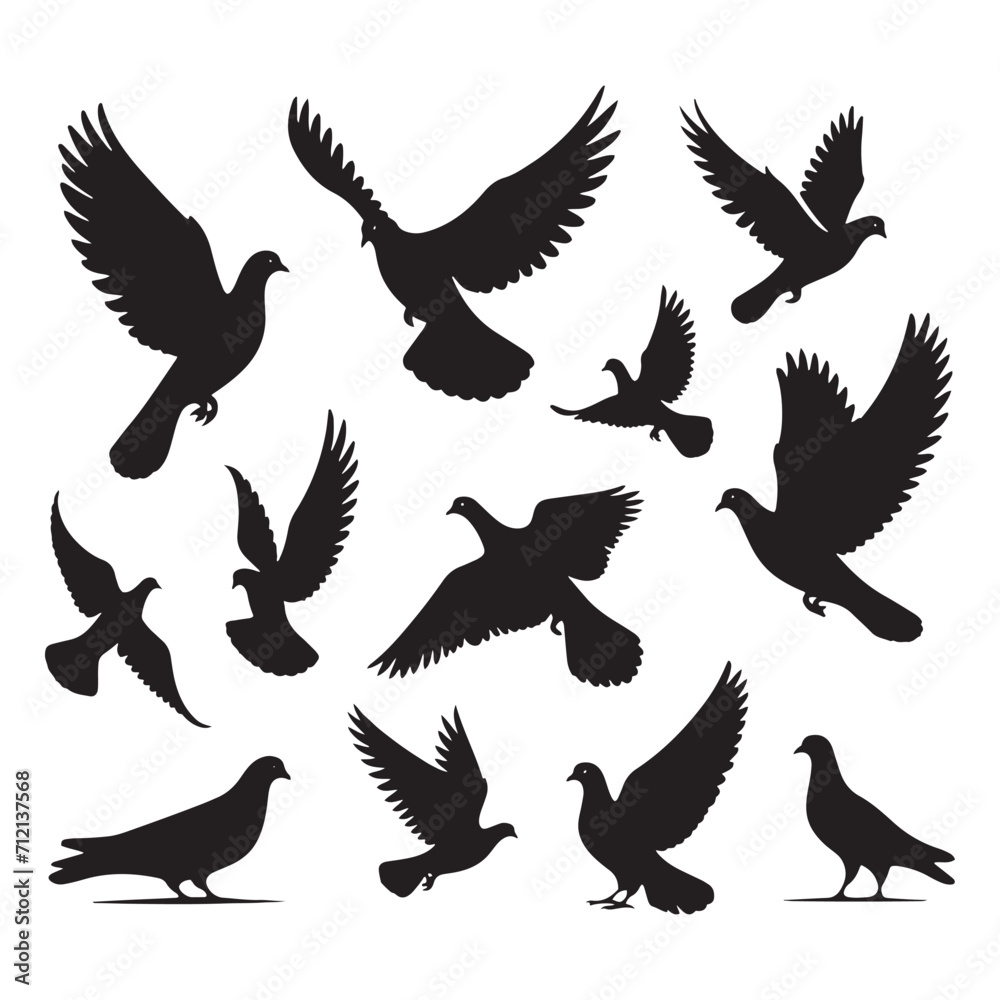Obraz premium Tranquil Soiree: Bird Beauty Silhouette Series in a Relaxing Dance of Pigeon Shadows - Pigeon Silhouette 