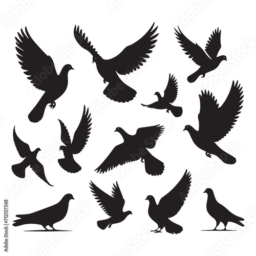 Tranquil Soiree: Bird Beauty Silhouette Series in a Relaxing Dance of Pigeon Shadows - Pigeon Silhouette 