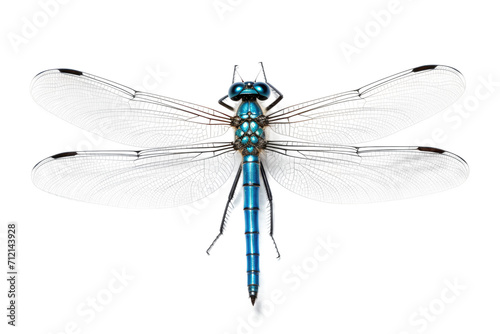 Blue Damselfly Isolated on Transparent Background © MSS Studio