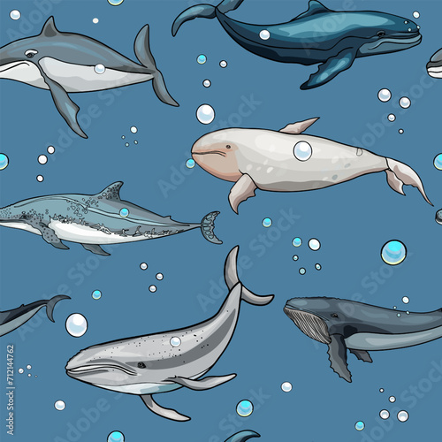 Hand drawn vector sea world pattern. Whales sperm whales and dolphins for print. textiles, sportswear. Blank for designers, print on a T-shirt