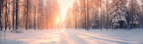 snow covered ground, in the style of golden light, orange and azure, landscape photography, sunrays shine upon it, use of light and shadow, wide angle lens