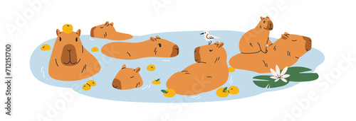 Cute capybaras bathing in water. Funny capibaras swimming in pond. Happy lazy...