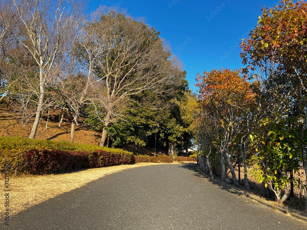 Winter park atmosphere in Japan Winter park atmosphere in Japan