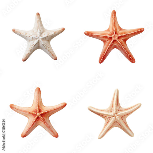 set collection starfish Artificial Intelligence Generative