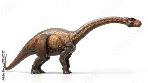 Brontosaurus isolated on white background © shooreeq