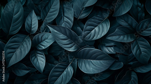 Textures of abstract black leaves for tropical leaf background. Flat lay  dark nature concept  tropical leaf generative ai