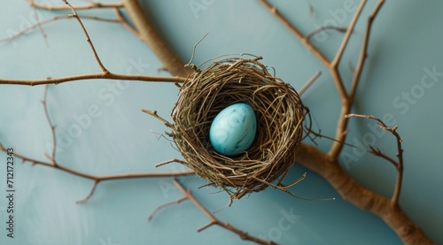 a bird nesting a blue egg on blue background