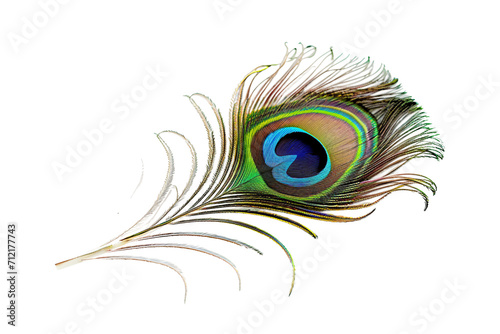 Peacock Feather on transparent background