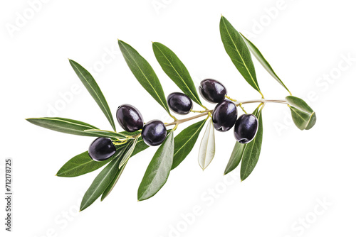 Isolated Olive Branch with Fresh Black Olives, Leaves, and Organic Mediterranean Vibes on a White Background