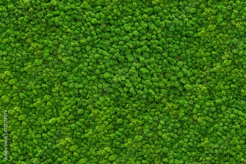 Seamless moss texture for wall decoration, wall mural, green for interior architecture, ambient wall material 1