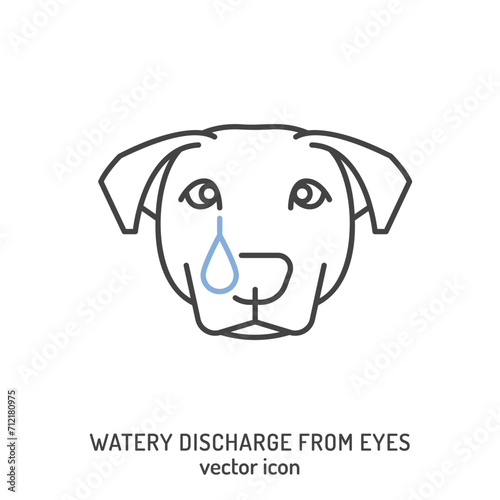 Watery discharge from dogs eyes. Common dog disease symbol.