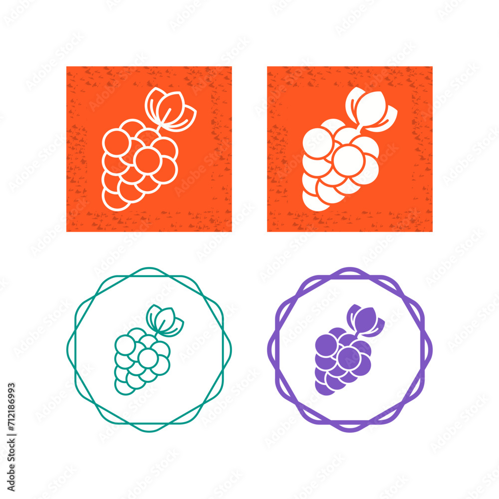 Berries Vector Icon