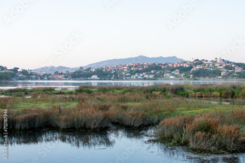 Fototapeta Naklejka Na Ścianę i Meble -  The Nigran marsh with its vegetation that is covered with the high tide