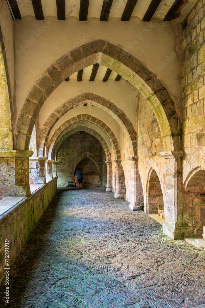 Roncesvalles, Gothic cloister, Royal Collegiate Church of Santa María de Roncesvalles, Santiago's road, Navarra, Spain