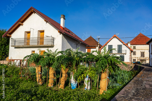 private garden, Burguete, Santiago's road, Navarra, Spain photo