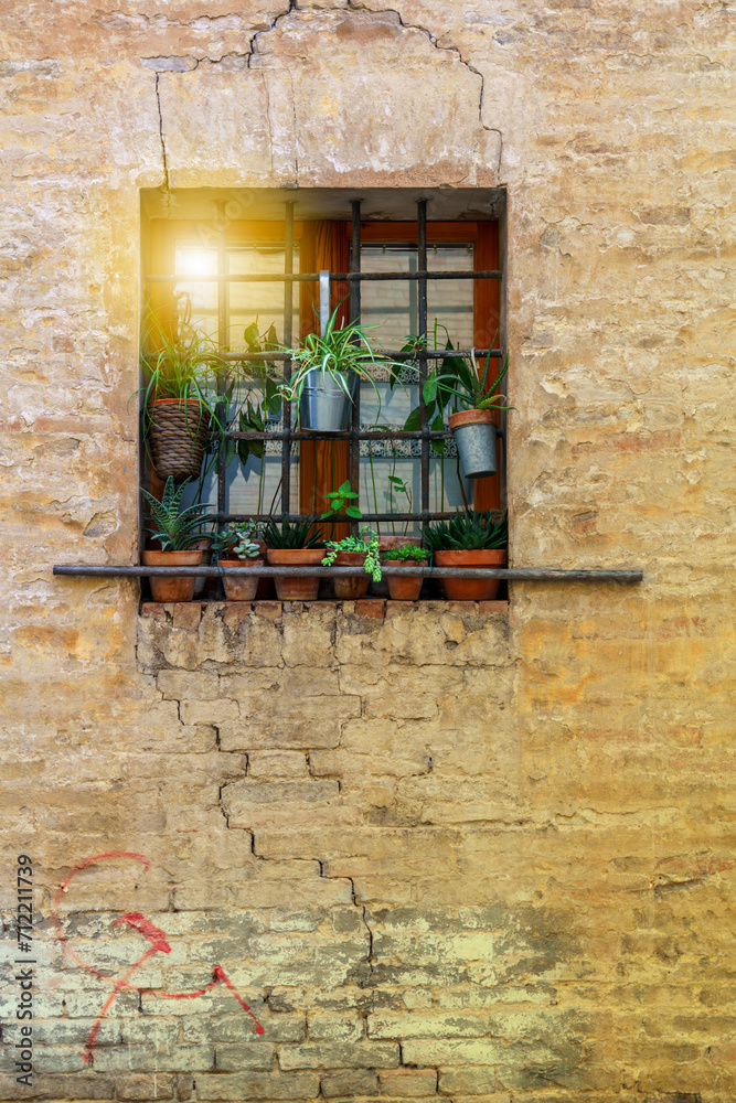 old urban brick building window with planters