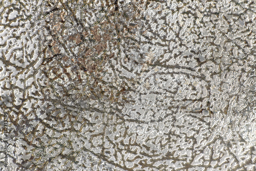 Fragment of an old chrome-plated metal plate