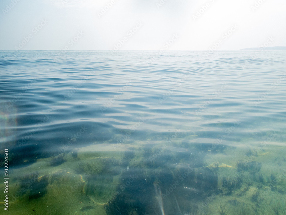 Fototapeta premium Sea surface with waves and algaes underwater