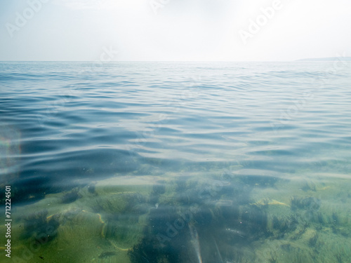 Sea surface with waves and algaes underwater