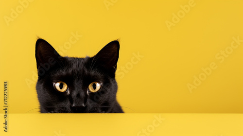 A black cat on a yellow background