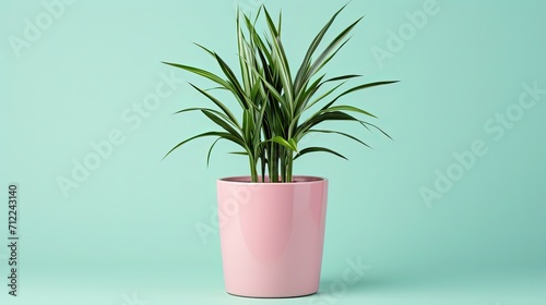 plant in a pink pot on green Background. Generative AI 