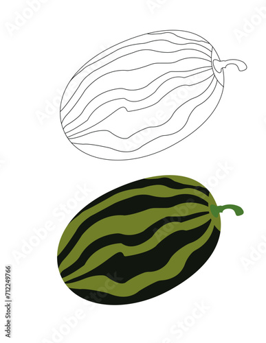 Watermelon color and Outline 